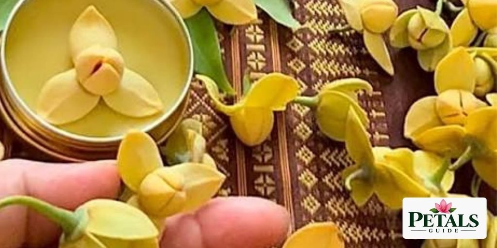 Cambodian flower