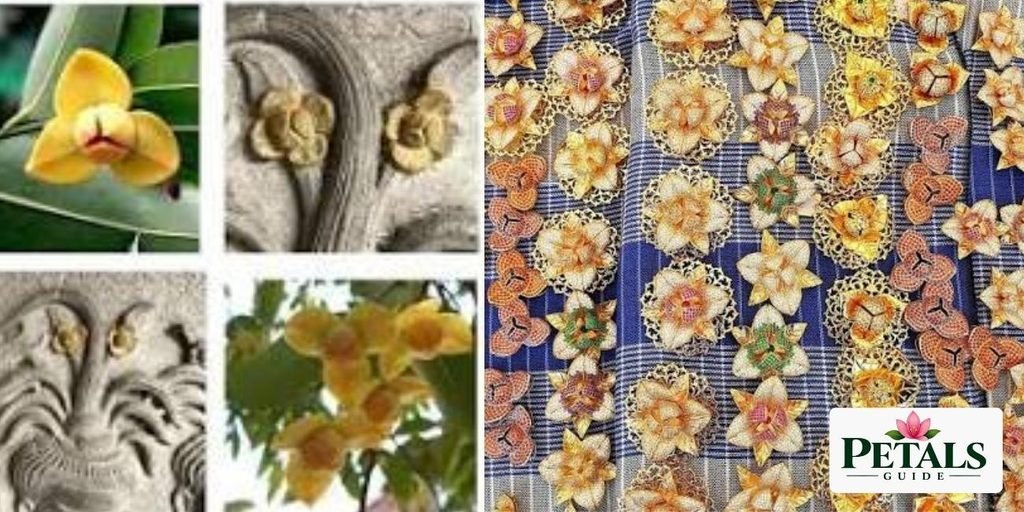 Cambodia national flower in Art